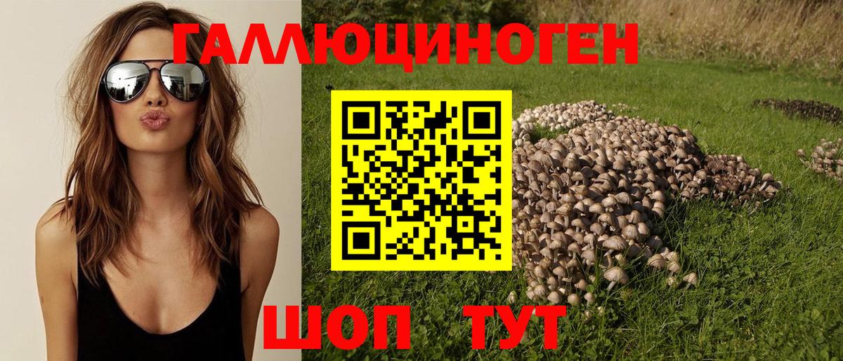 Алапаевск  Галлюциногенные грибы ЛСД  Вход с VPN 